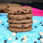 Peanut Butter Chocolate Chip Cookies (Vegan, GF, Oil-free)