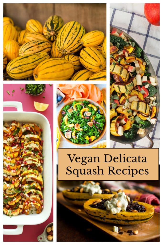 Vegan Delicata Squash Recipes